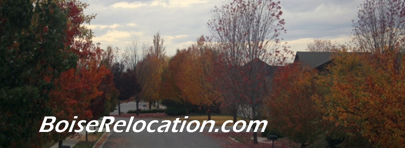 Settlers Bridge Subdivision Meridian Homes For Sale